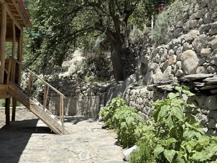 A stone path running past the house between a dry stone terrace wall and the trees